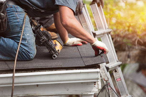 Roof Gutter Cleaning in Mayo, FL